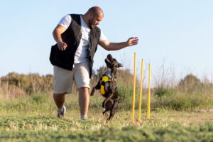 Homem barbudo vestindo colete preto e camisa branca treinando um pitbull preto e branco em um campo aberto, com o cachorro pulando animado entre slaloms de cones amarelos enquanto o tutor aponta o caminho com a mão estendida, sob céu claro.