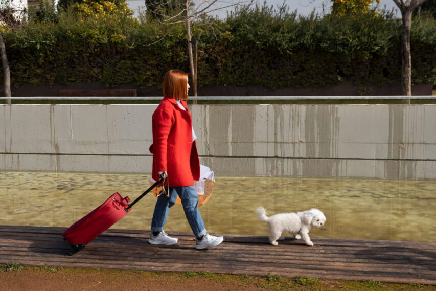 Preparando-se-para-viajar-de-aviao-com-pet-853x569 Viajar com Pet de Avião: O Guia que Todo Pai de Pet Precisa Ler