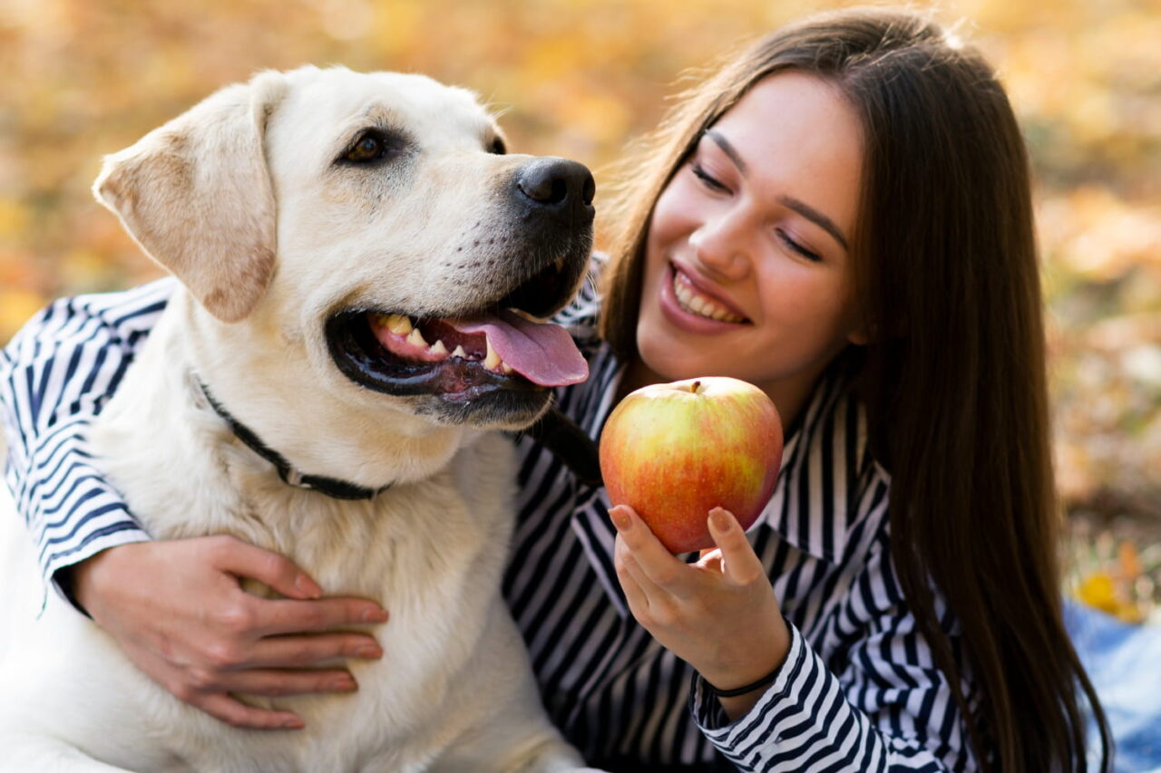 Uma mulher sorridente abraça um cachorro Labrador branco enquanto segura uma maçã vermelha próxima ao focinho dele em um parque durante o outono.