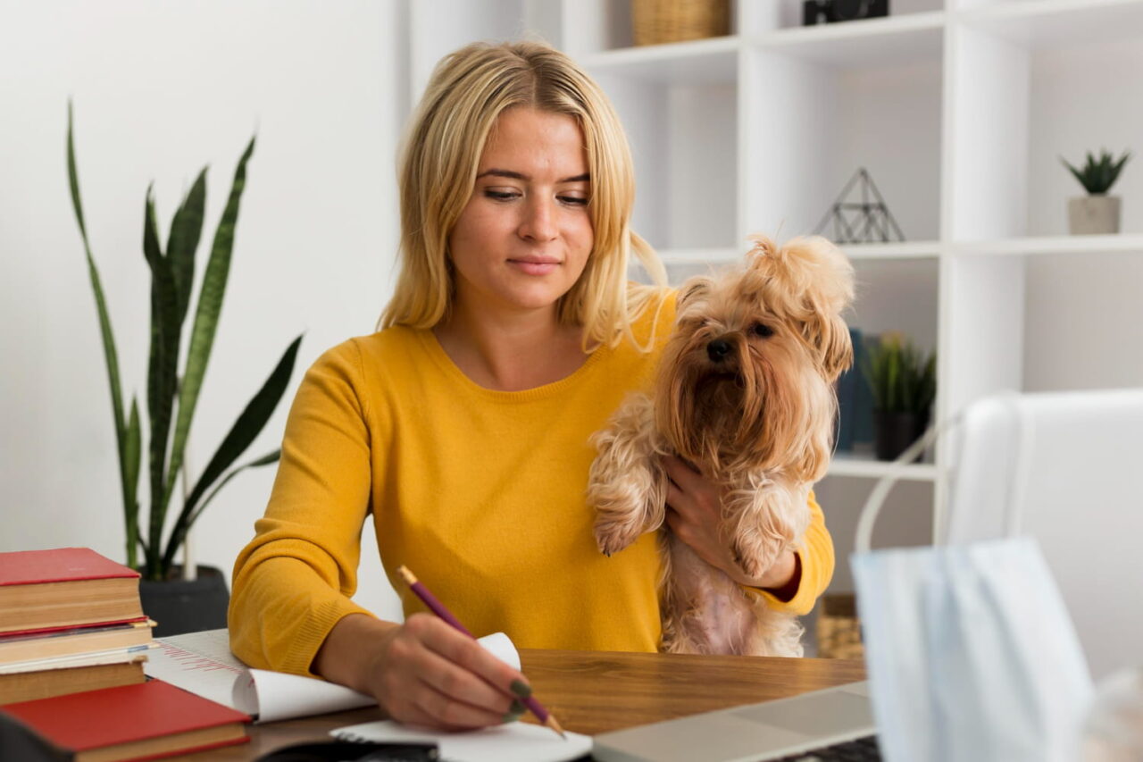 Mulher loira de suéter amarelo sentada à mesa de trabalho em casa, escrevendo em um caderno com lápis enquanto segura no colo um pequeno cachorro Yorkshire Terrier fofo, com livros, plantas e laptop ao fundo.