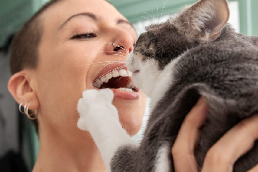 nome-para-gato-ideias-2026.jpg-nomes-gato-cinza.jpg-etc.-1-853x569 Nome para Gato: +200 Ideias Incríveis, Criativas e Fáceis